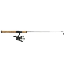 Shakespeare Cirrus Spinning Combo