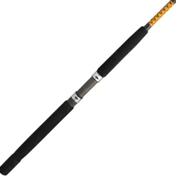 Ugly Stik Bigwater Conventional Rod