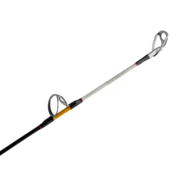 Ugly Stik Bigwater Conventional Rod