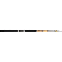 Ugly Stik Bigwater Conventional Rod