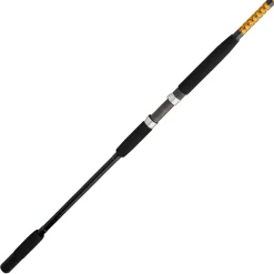 Ugly Stik Bigwater Conventional Rod