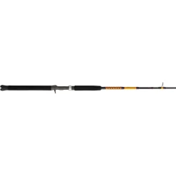 Ugly Stik Bigwater Conventional Rod