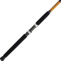 Ugly Stik Bigwater 2-Piece Spinning Rod