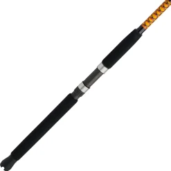 Ugly Stik Bigwater 2-Piece Spinning Rod